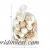 Highland Dunes Akshay 26 Piece Decorative Ball Set HLDS5684